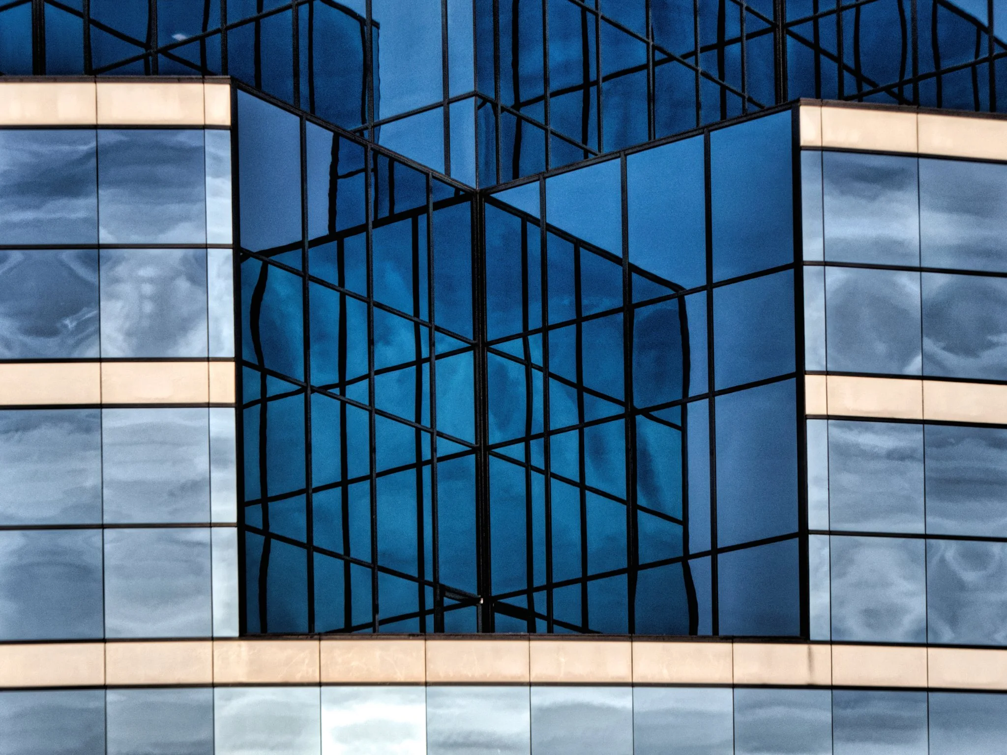 Week 51 - Fill the Frame