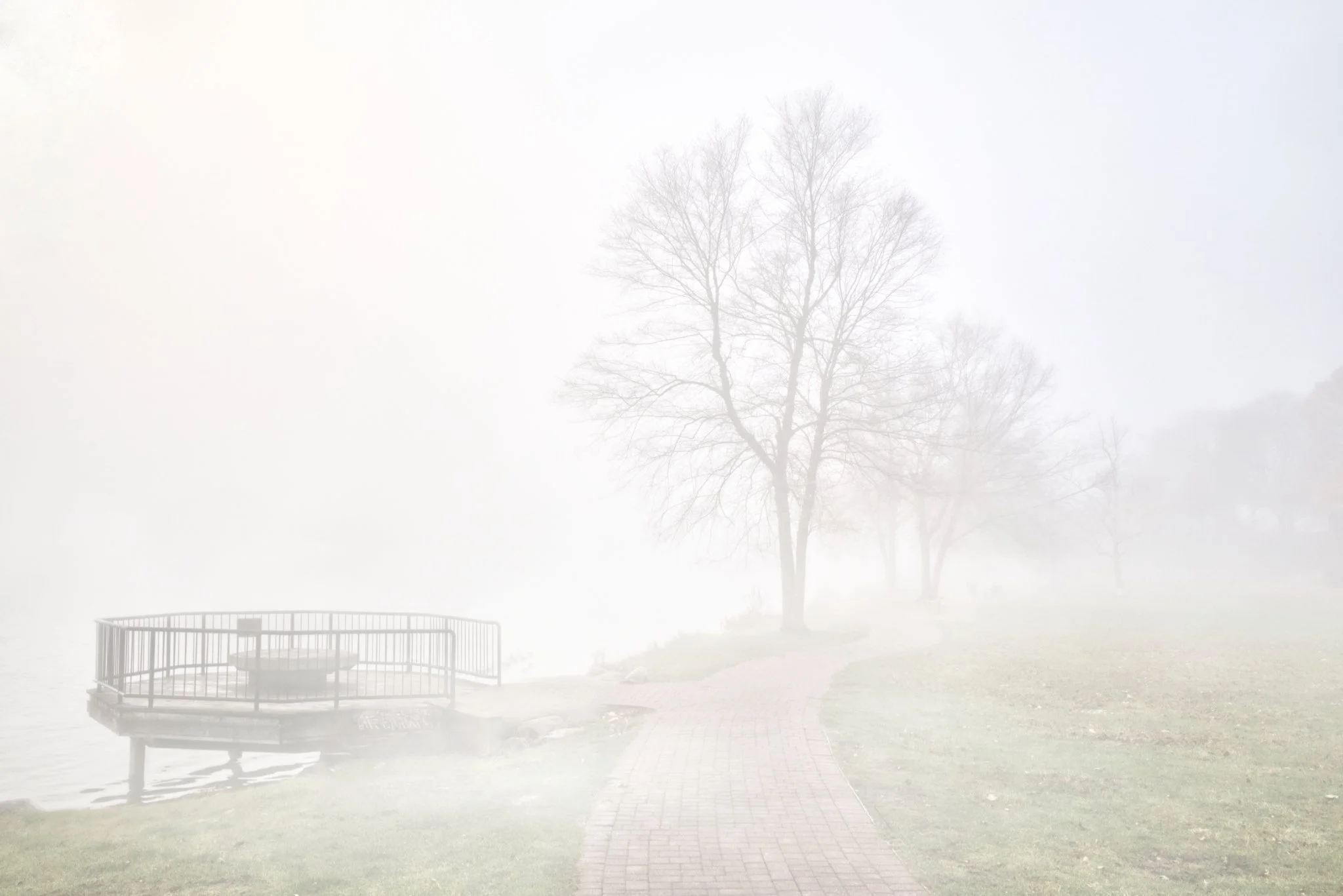 Week 47 (2024) - High Key