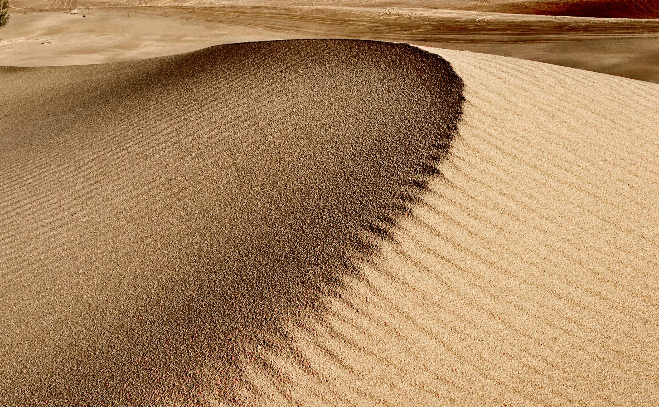 Week 19 (2023) - Details