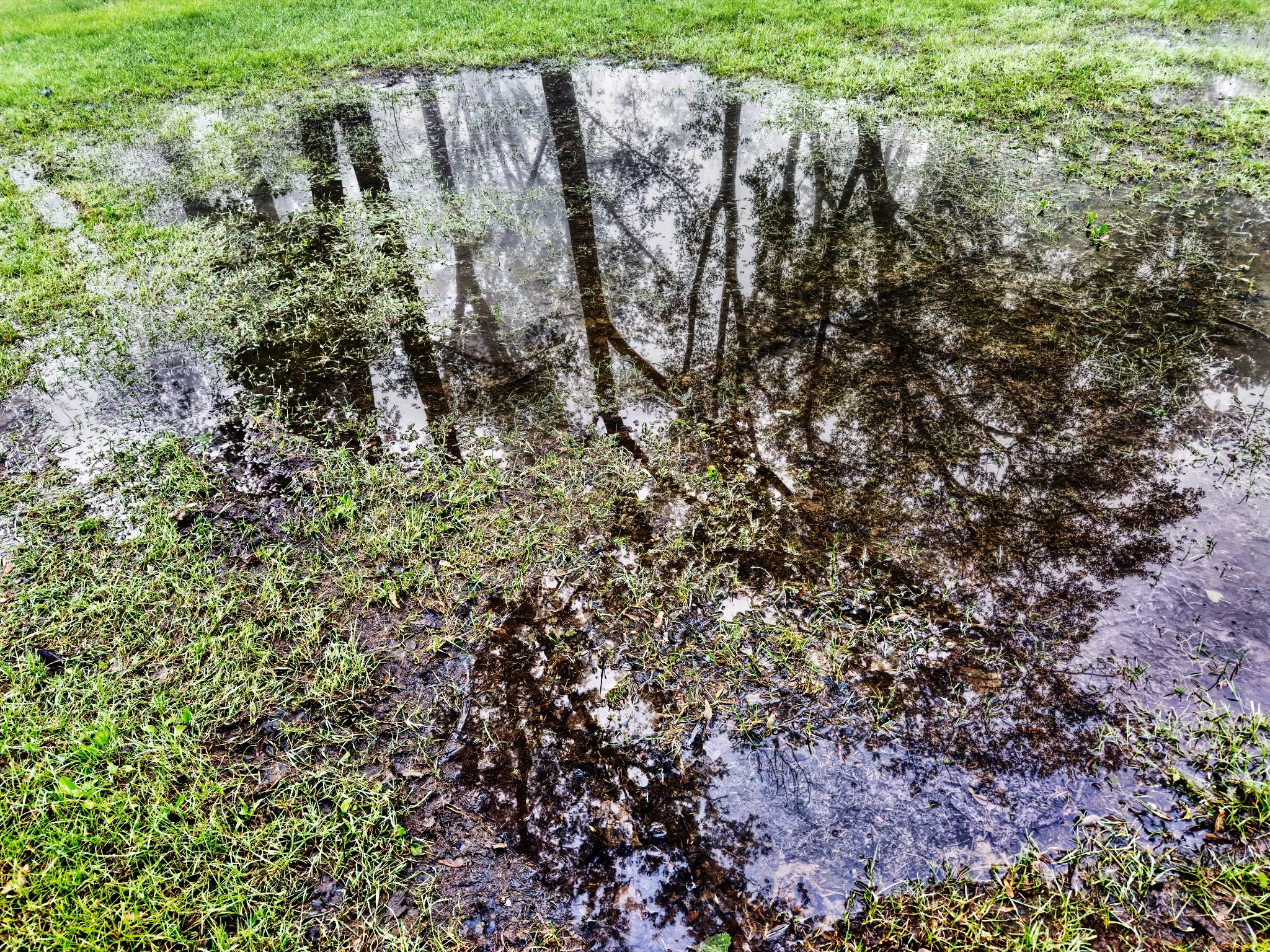 Week 22 - On the Ground