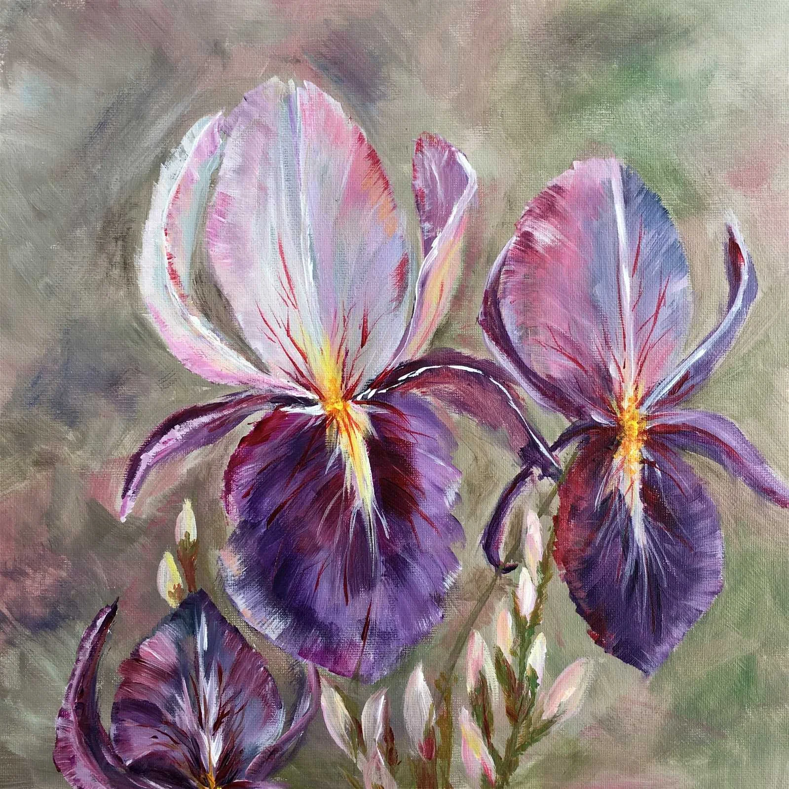 Irises