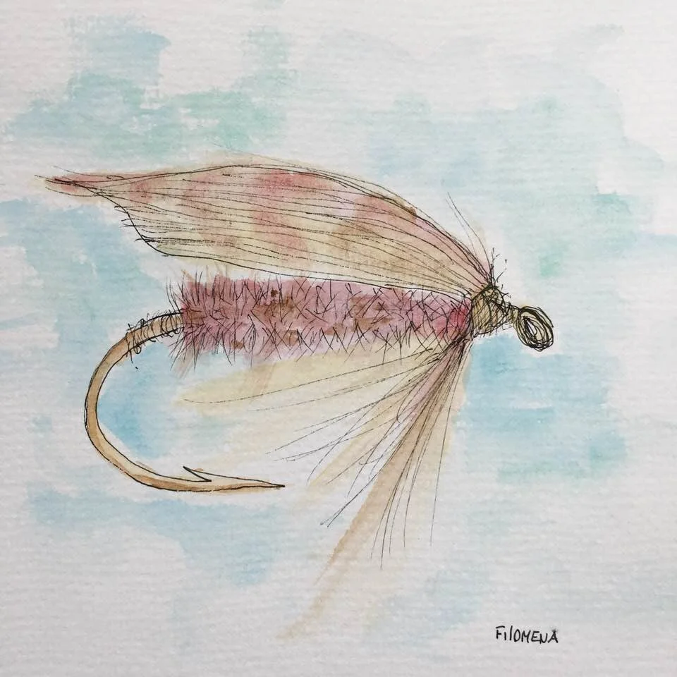 Winged Caddis Fly