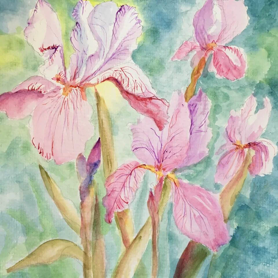 Irises Watercolor