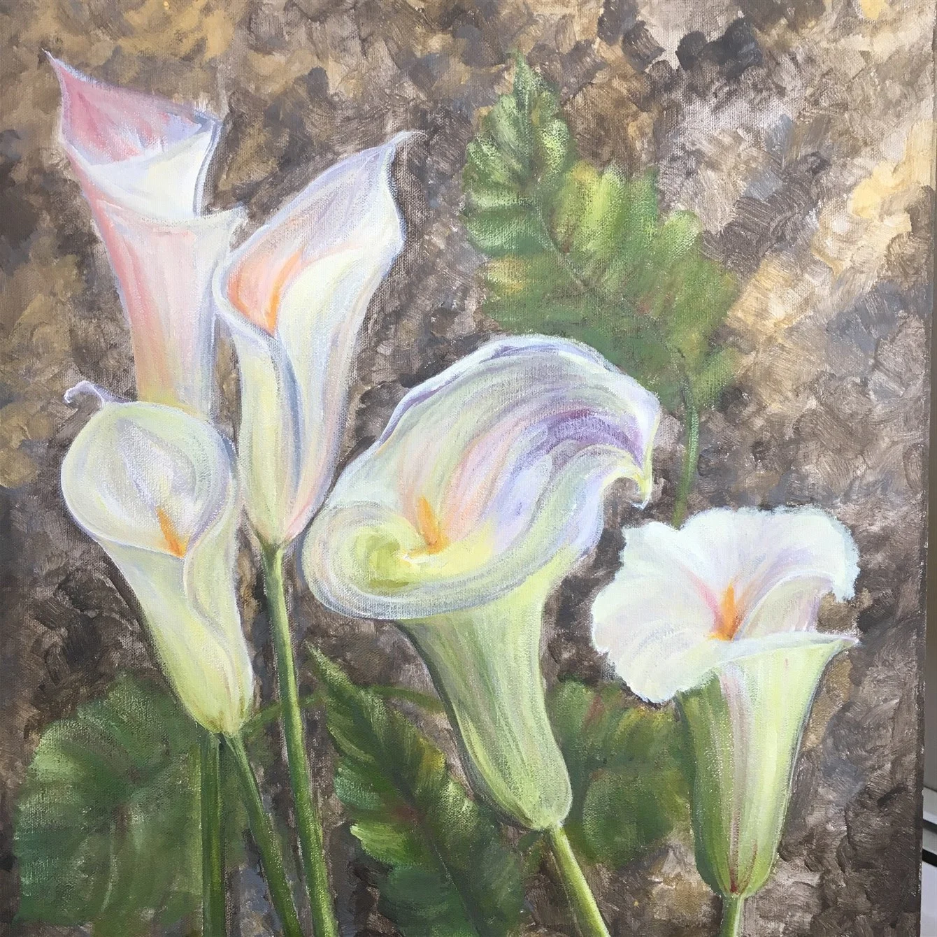 Cala Lilies 1