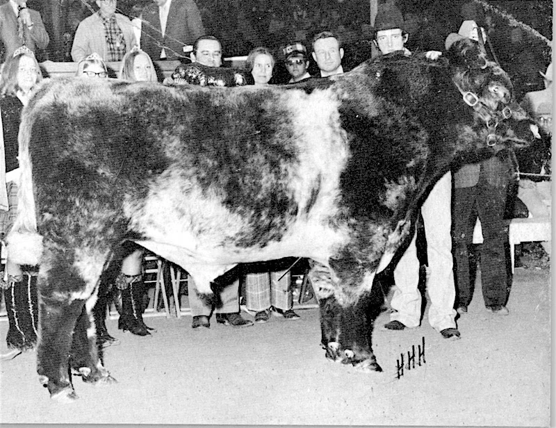Grand Champion Bull 1974.jpeg