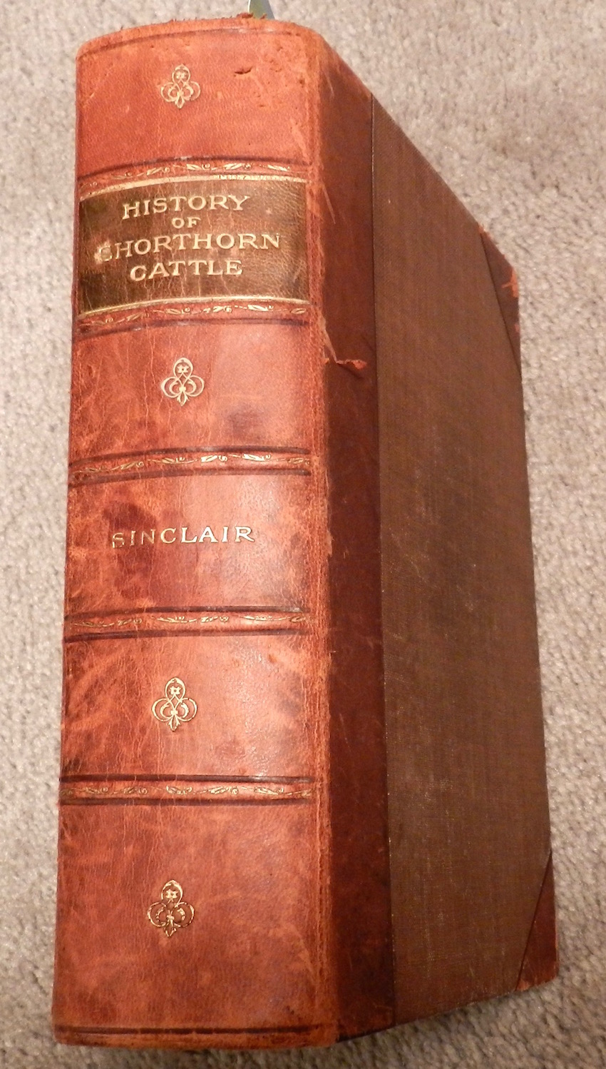 hist or shrt. cattle:sinclair.jpg