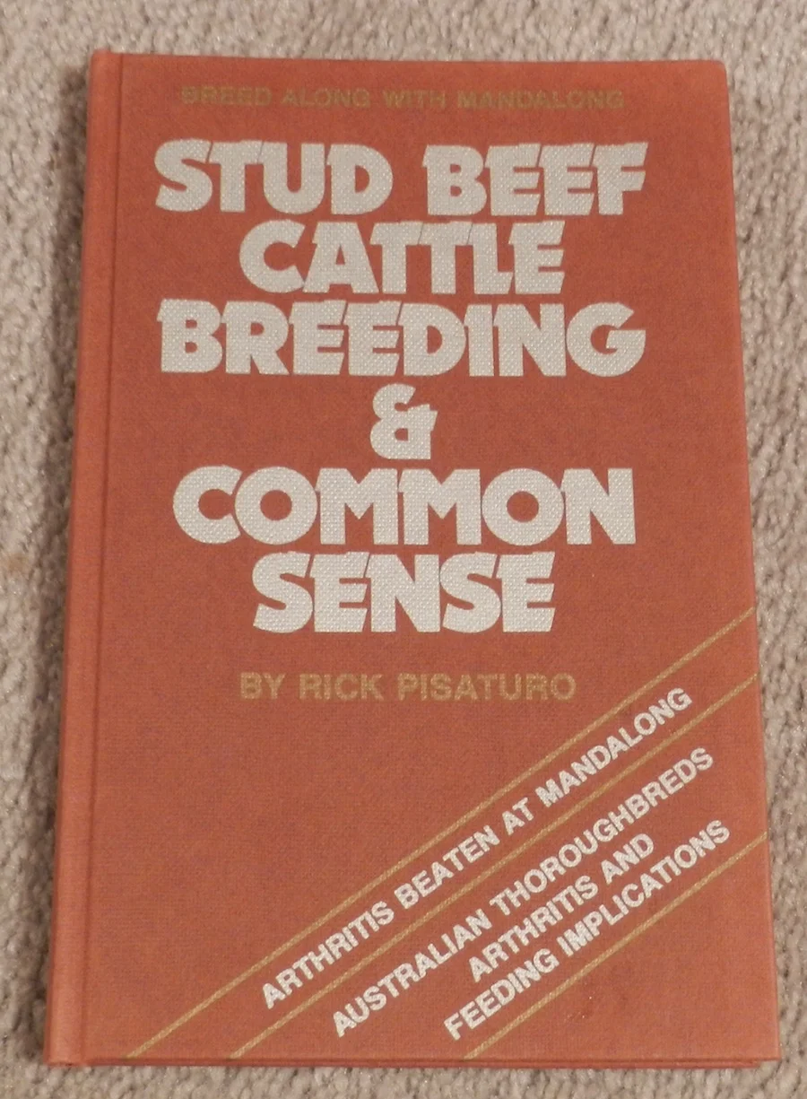 Stud Beef catle breeding.jpg