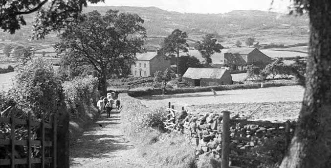 Rustic lane:village copy.jpg