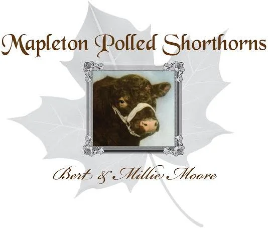 Mapleton Polled Shorthorns (logo)cropped.jpg