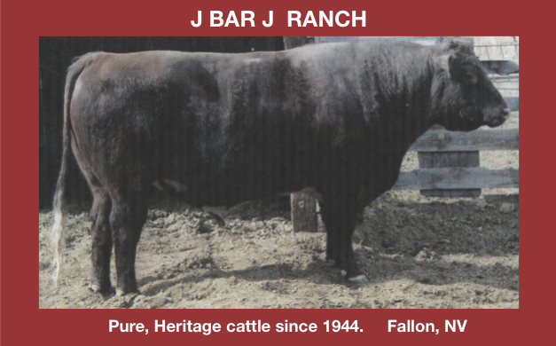 J Bar J Logo.png