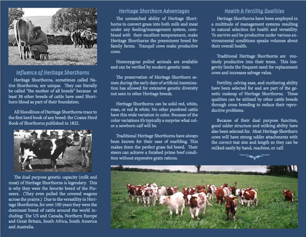 Brochure 5:2018, 2.png