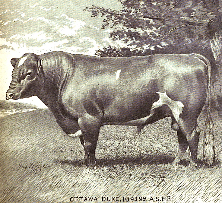 Ottawa Duke x185-109292.jpg