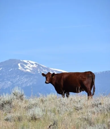Big Sky Country, by Ralph Larson