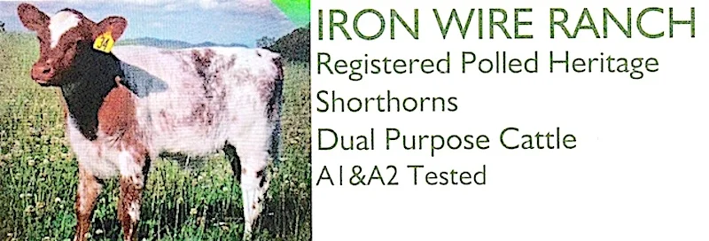 Iron Wire Logo.jpg