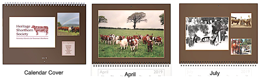 Calendar Preview.png