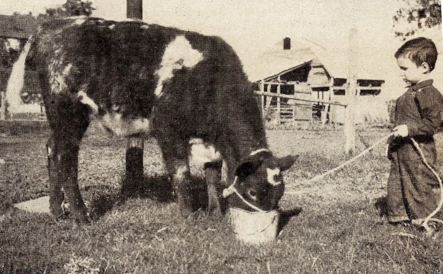 Calf:Boy MSJ 12:57_20210308_0001 2.jpeg