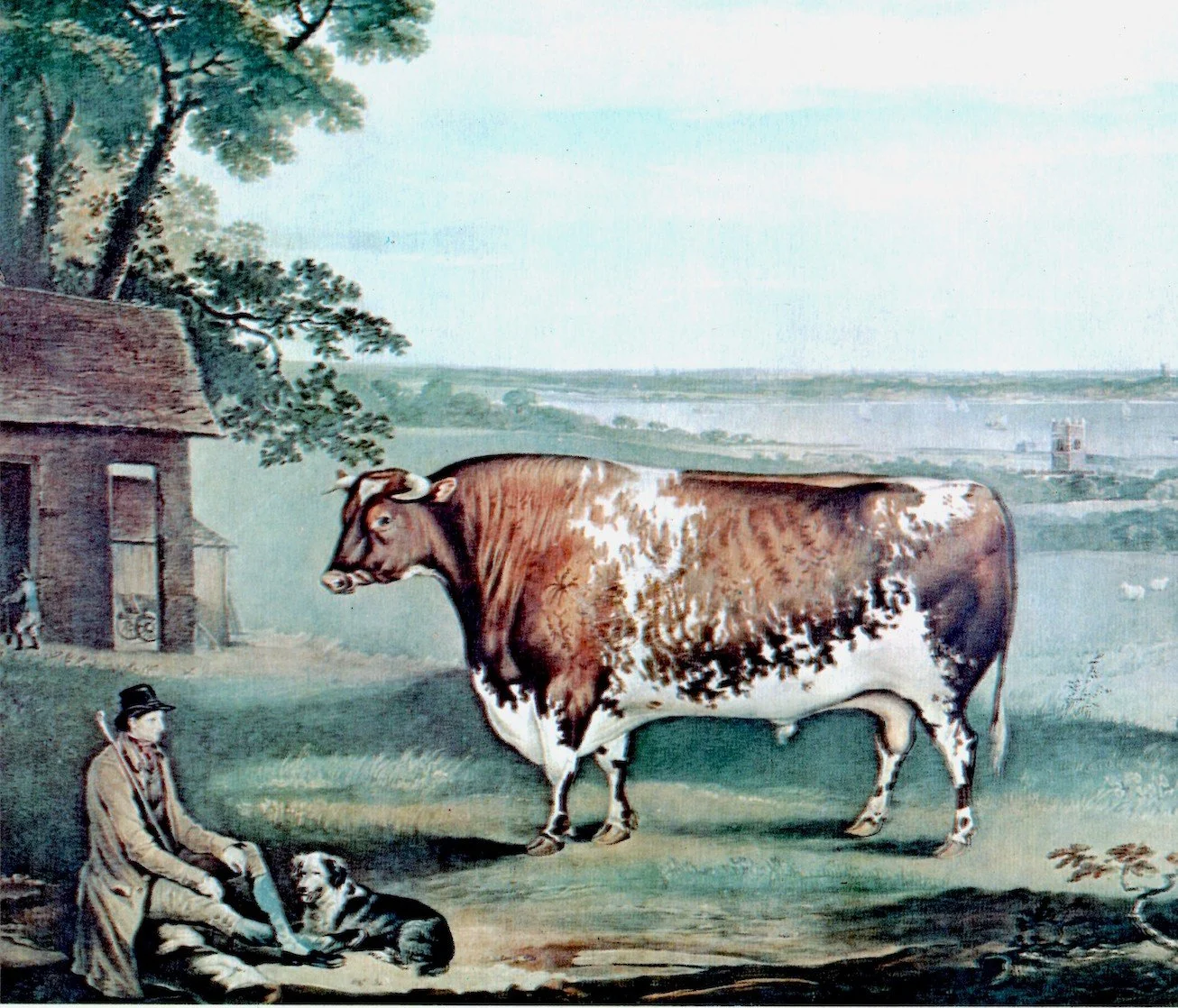 George Coates The Coates Herdbook (A Lesson in Persistence) – 200 Years and Counting ...