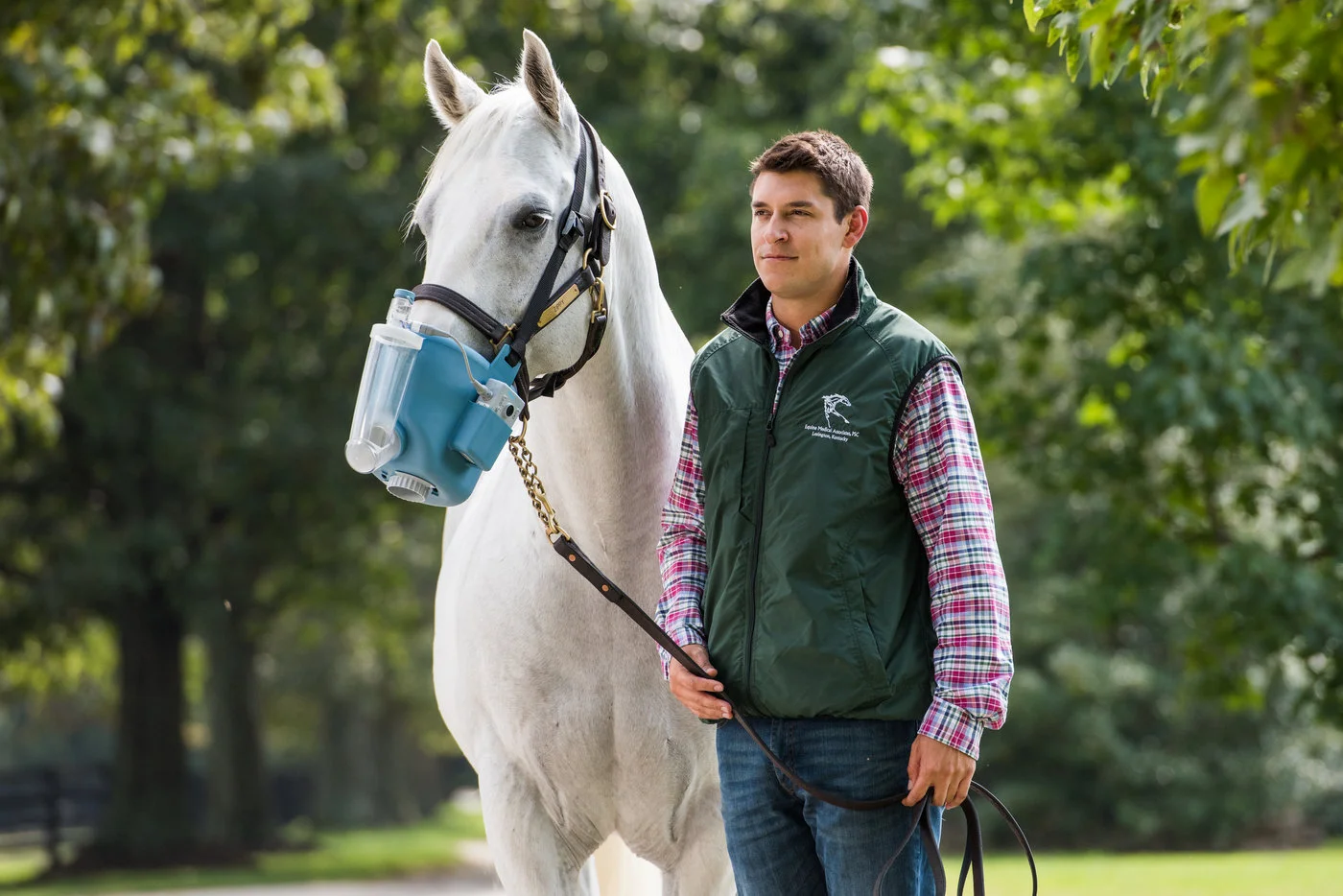 Use of inhalation therapy in show Quarter Horse, undertaken using the Nortev Flexineb inhaler