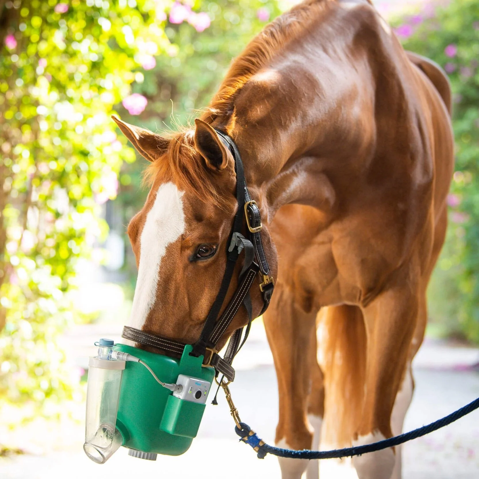 Flexineb USA Portable Equine Nebulizer