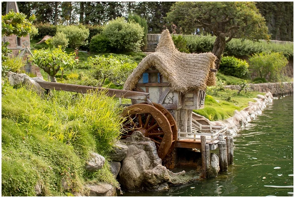 Disneyland