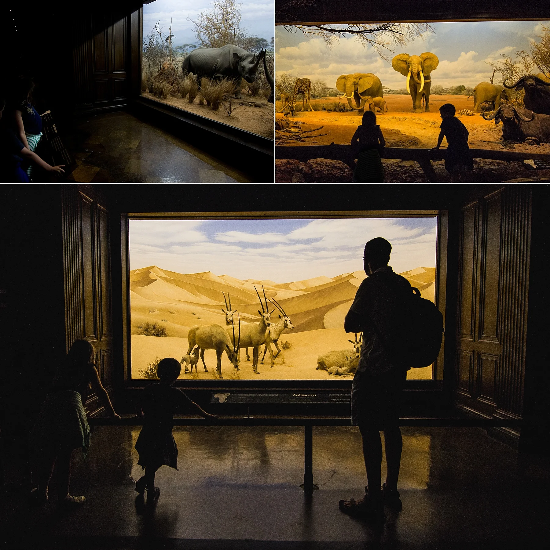 Documentary Photography at the LA County Museum of Natural History