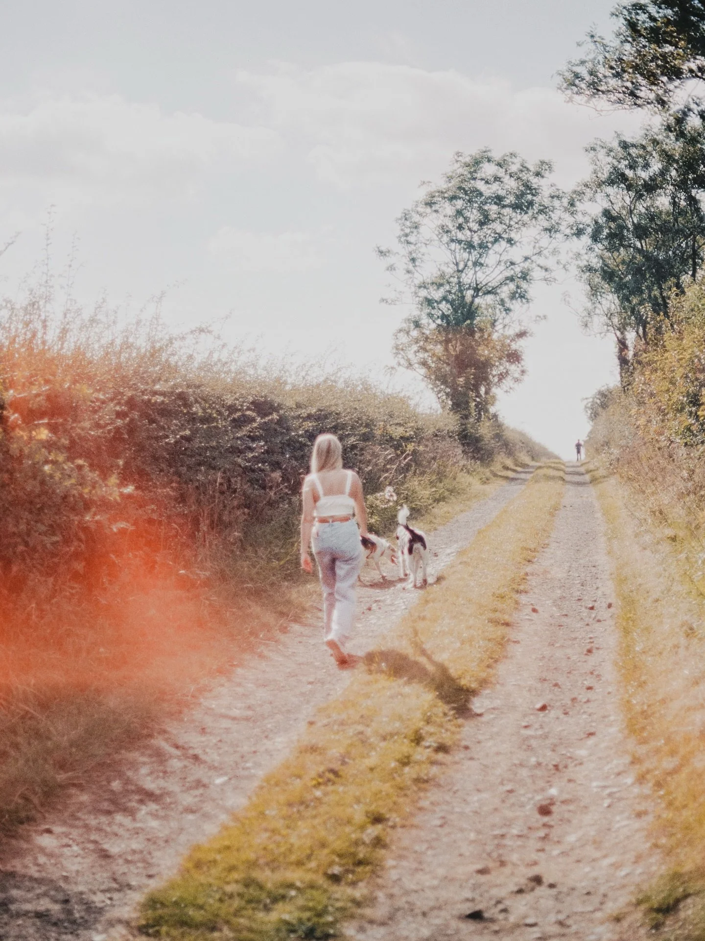 Summer days shot on film, Canon Ae-1 and Portra 400, light leaks, grain and memories. Time to get the light seals replaced and the 50 1.4 stripped and cleaned. 
@gulabiphoto