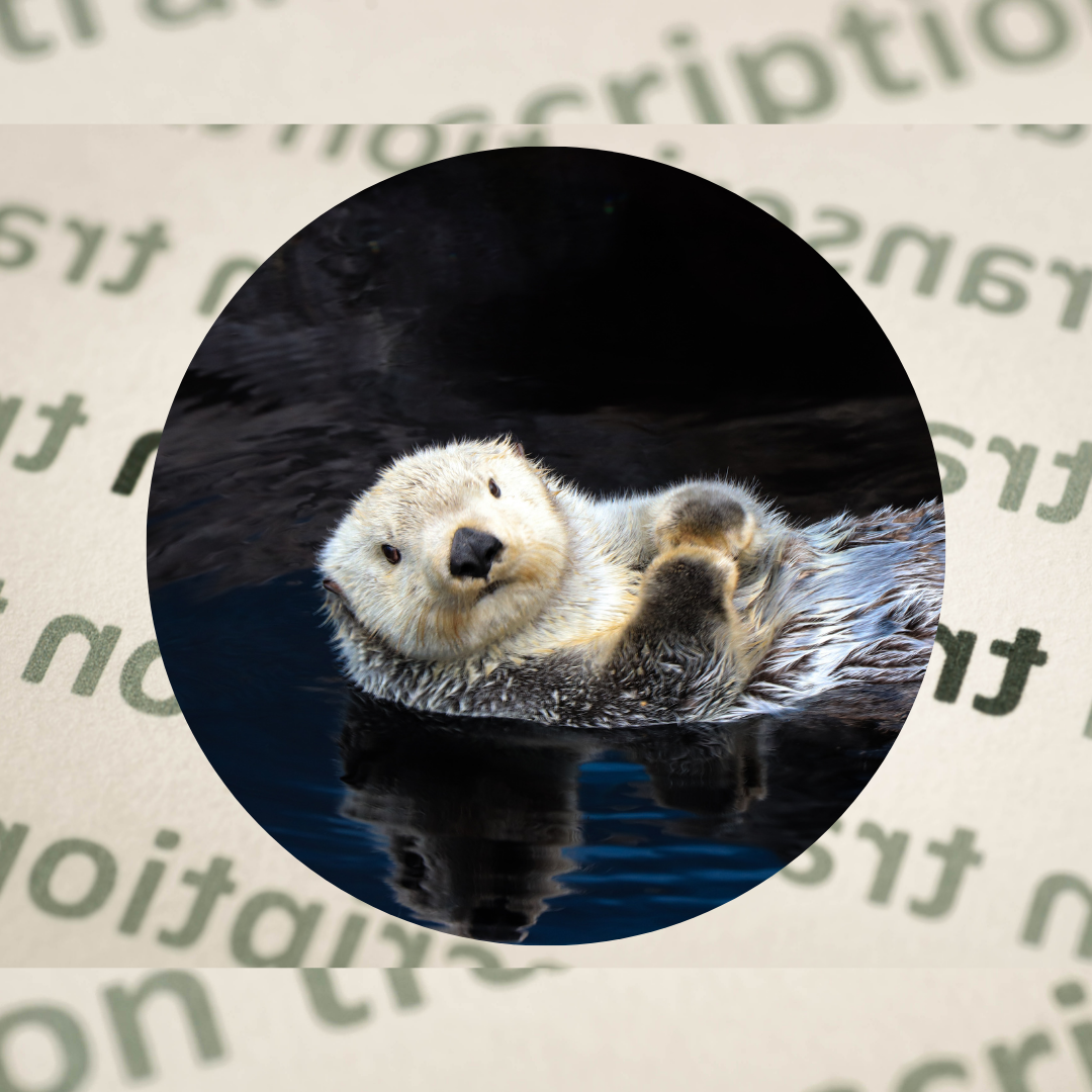 Is your transcription software spying on you?