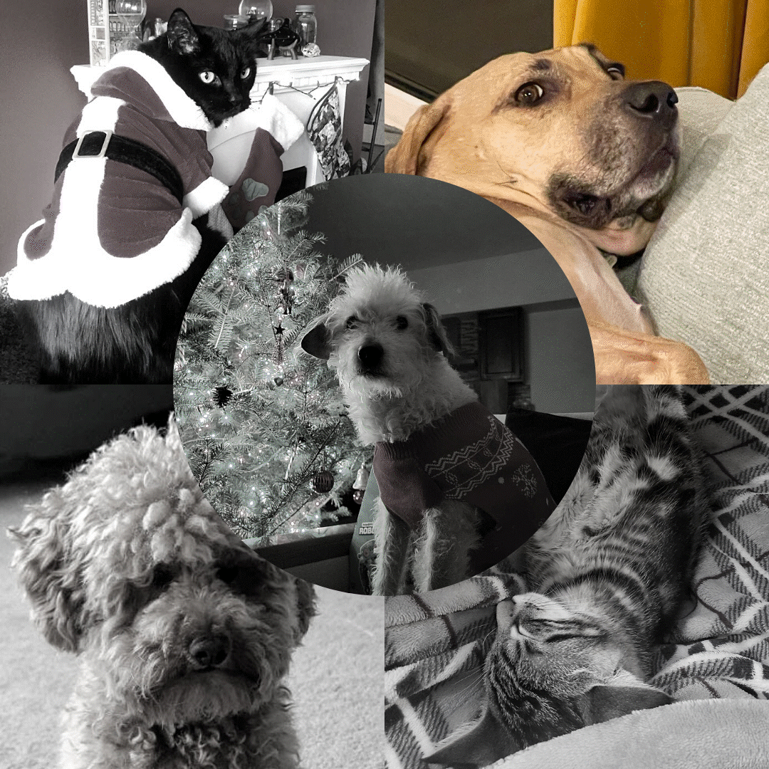 Reflecting Back on 2021