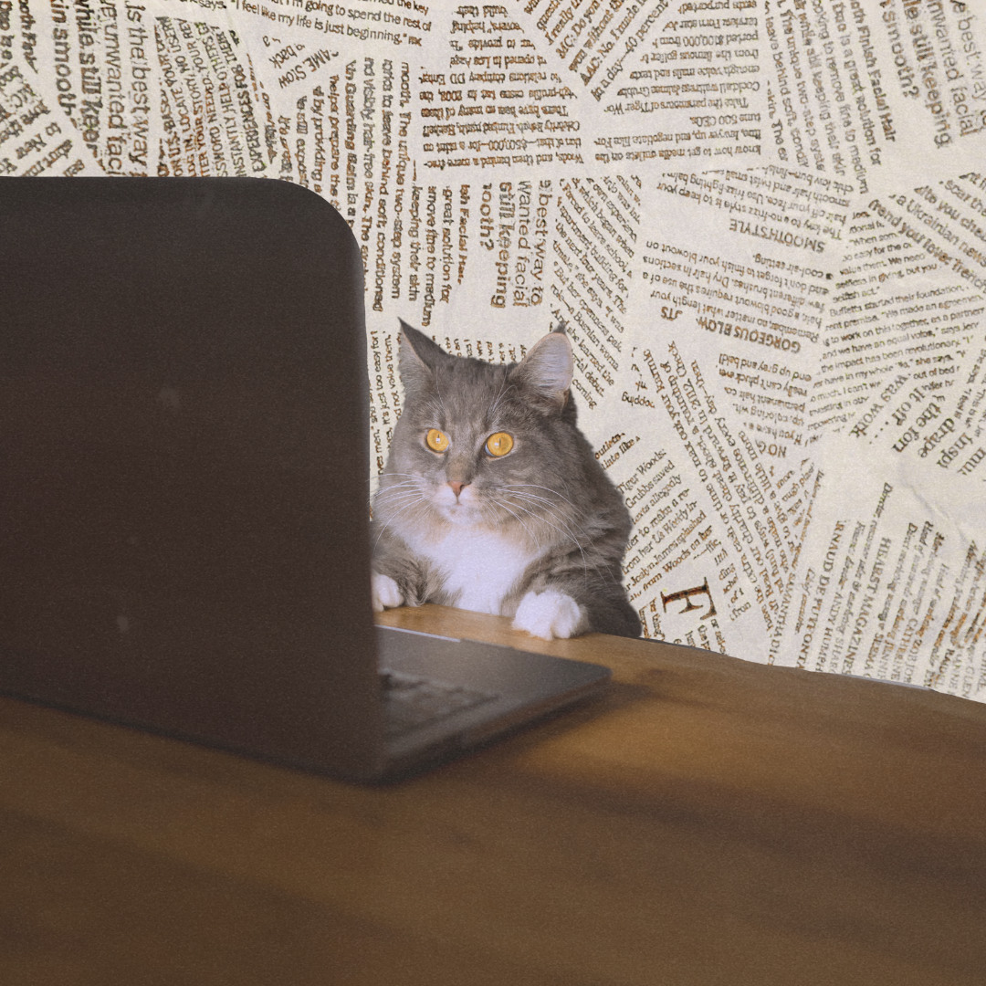 4 Things Podcasters Should Do For Higher Engagement