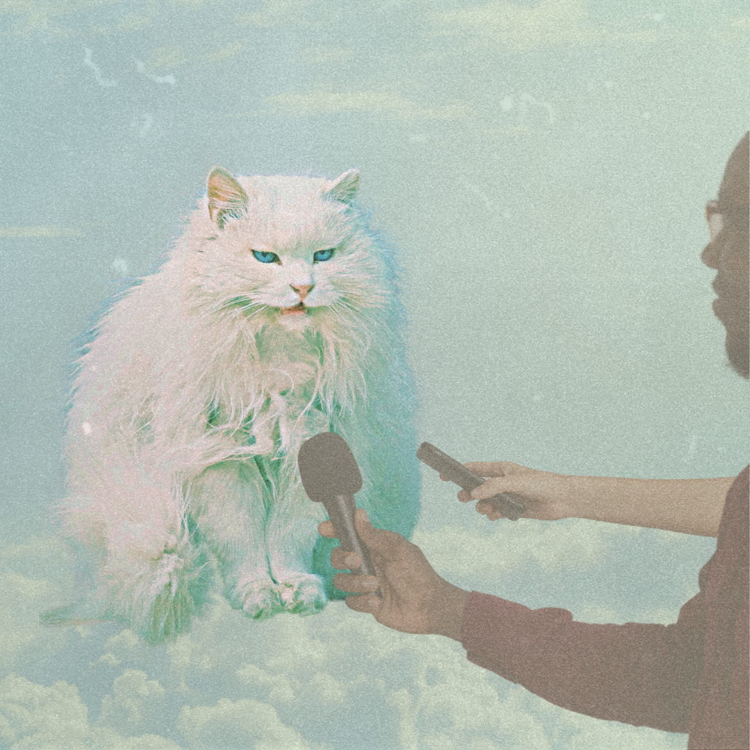A Podcast Beat Sheet - Interview the Cat!