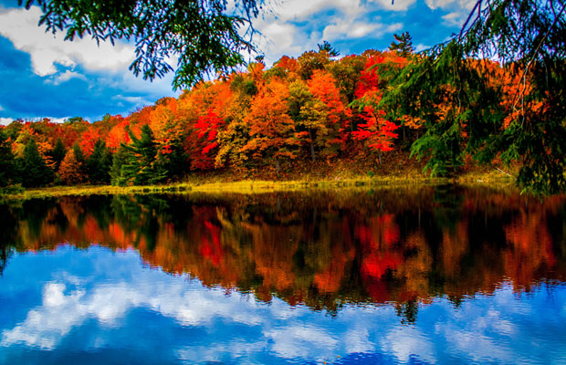 fall.jpg