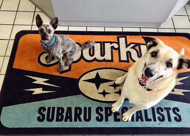 Sparkys Abq is open, we are distancing too and keeping vital Subaru&rsquo;s on the road. #essentialbusiness