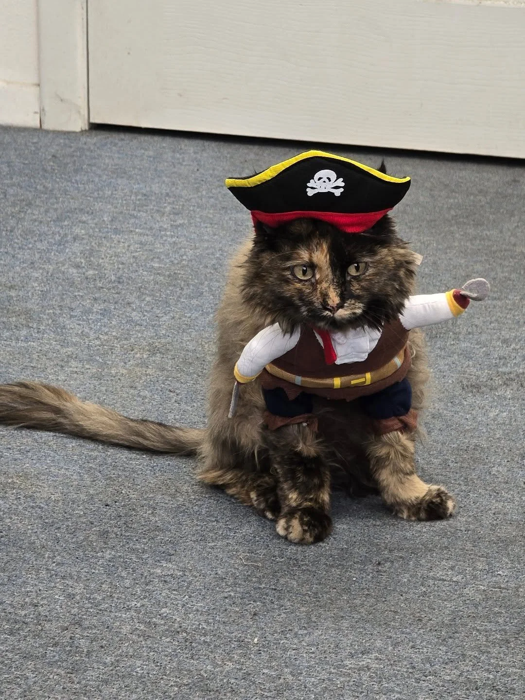 Come see our pirate of the month at our new location on Zuni and Pennsylvania!