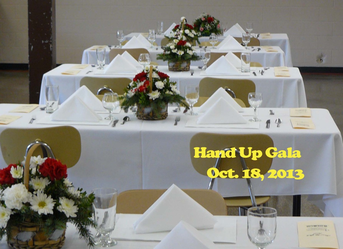handupsettings2012.jpg