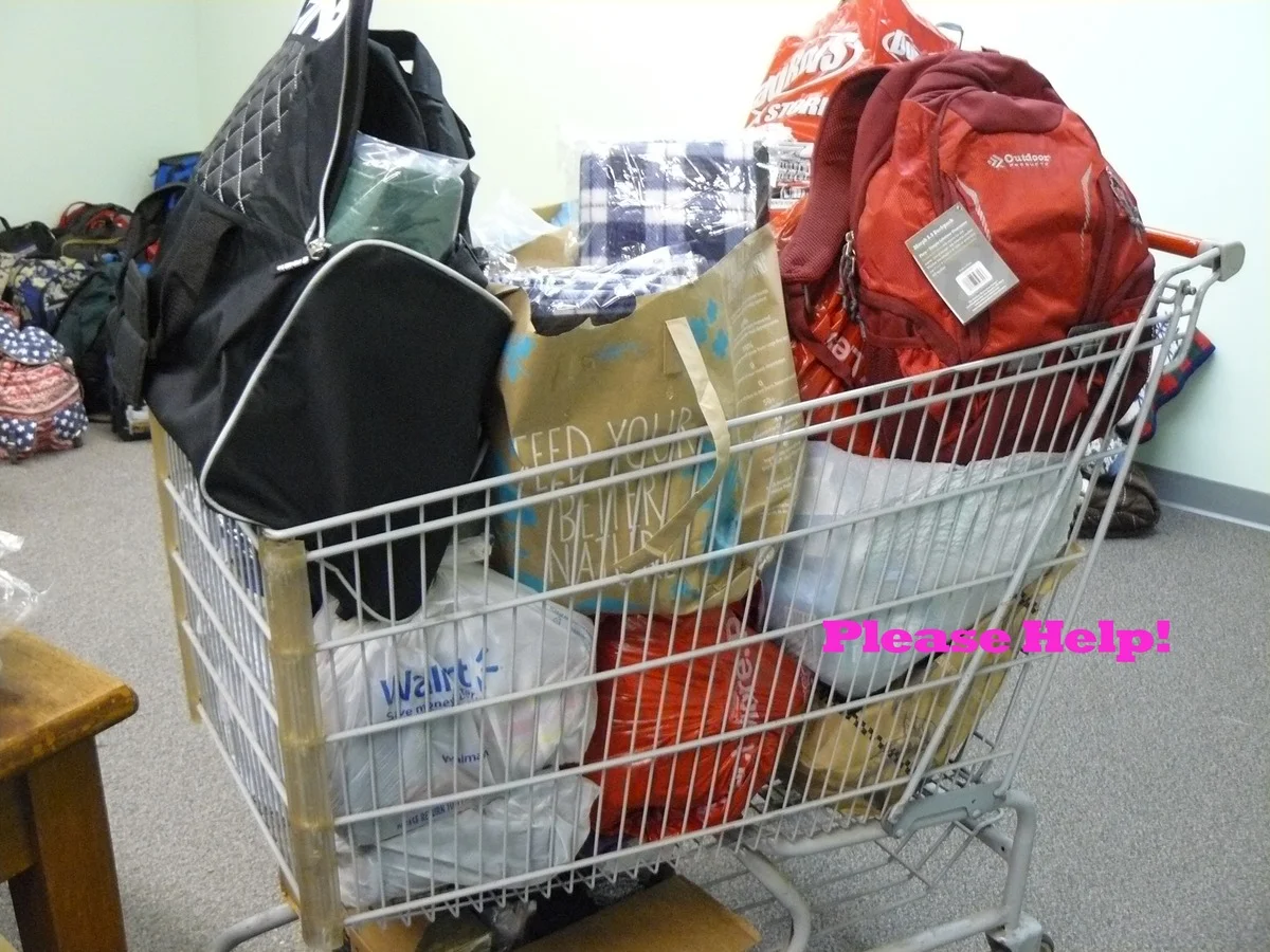 cartfullstuff2.jpg