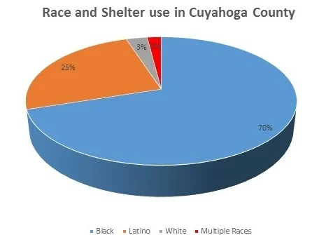 Race and Shelter use in CC.jpg
