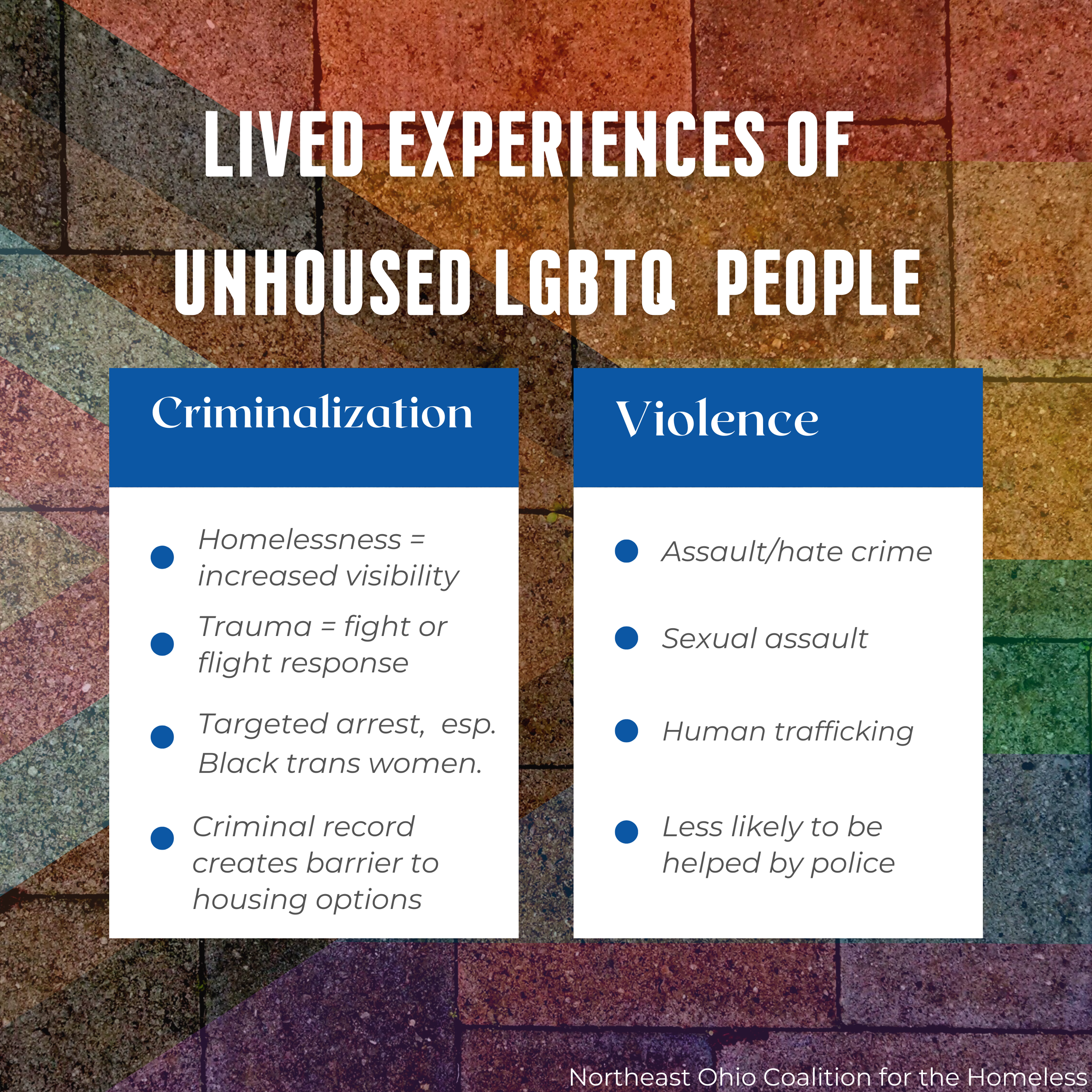 LGBTQ homelessness education campaign (7).png