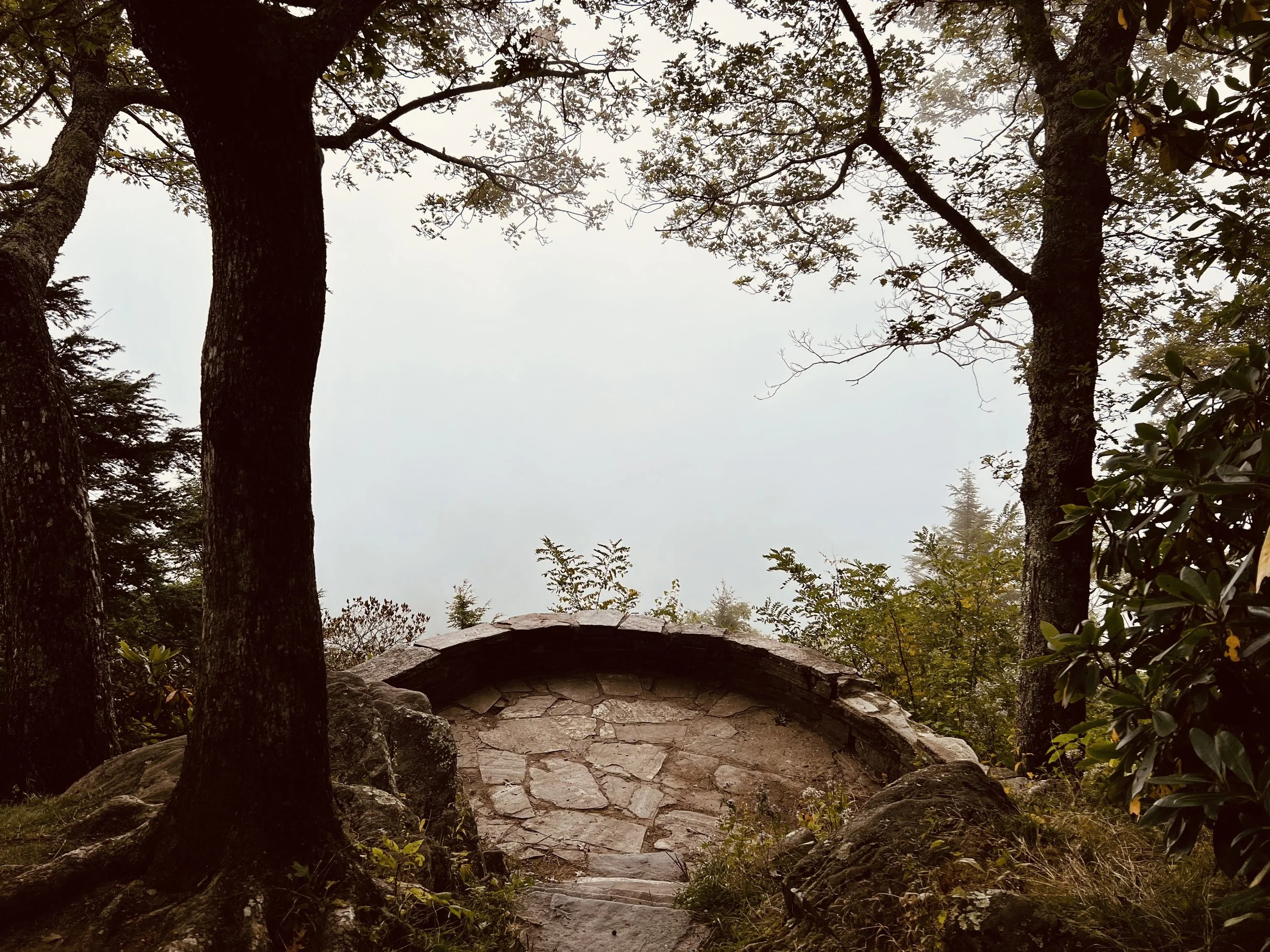 Stone overlook wall framed by trees, fog rolling through the valley below