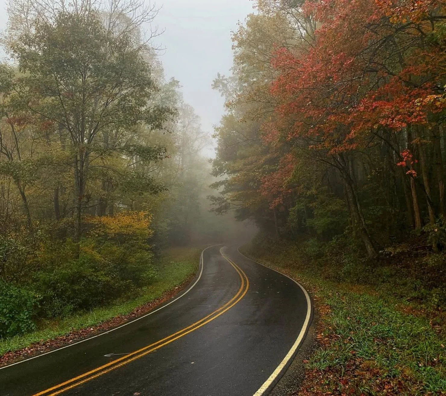 Foggy autumn road through the Western North Carolina mountains