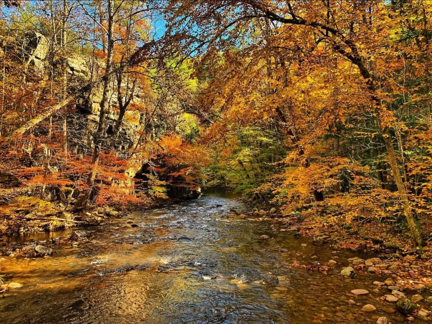 Autumn creek in Western North Carolina
