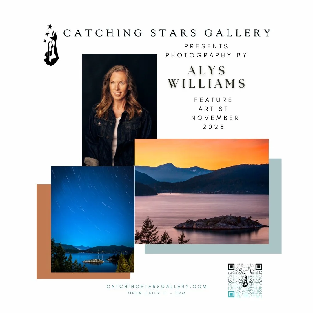 ALYS WILLIAMS: Feature Artist November 2023