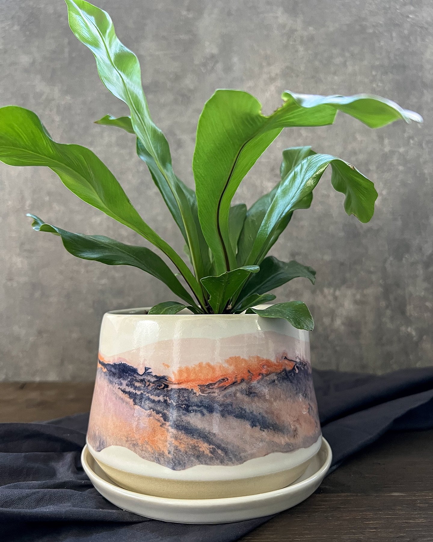 Sarah Plamondon_Fire Plant pot_2024.jpg