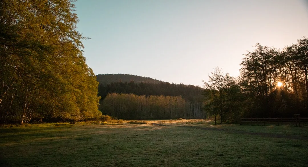 MJZamora_202405114649_TheMeadow-web.jpg