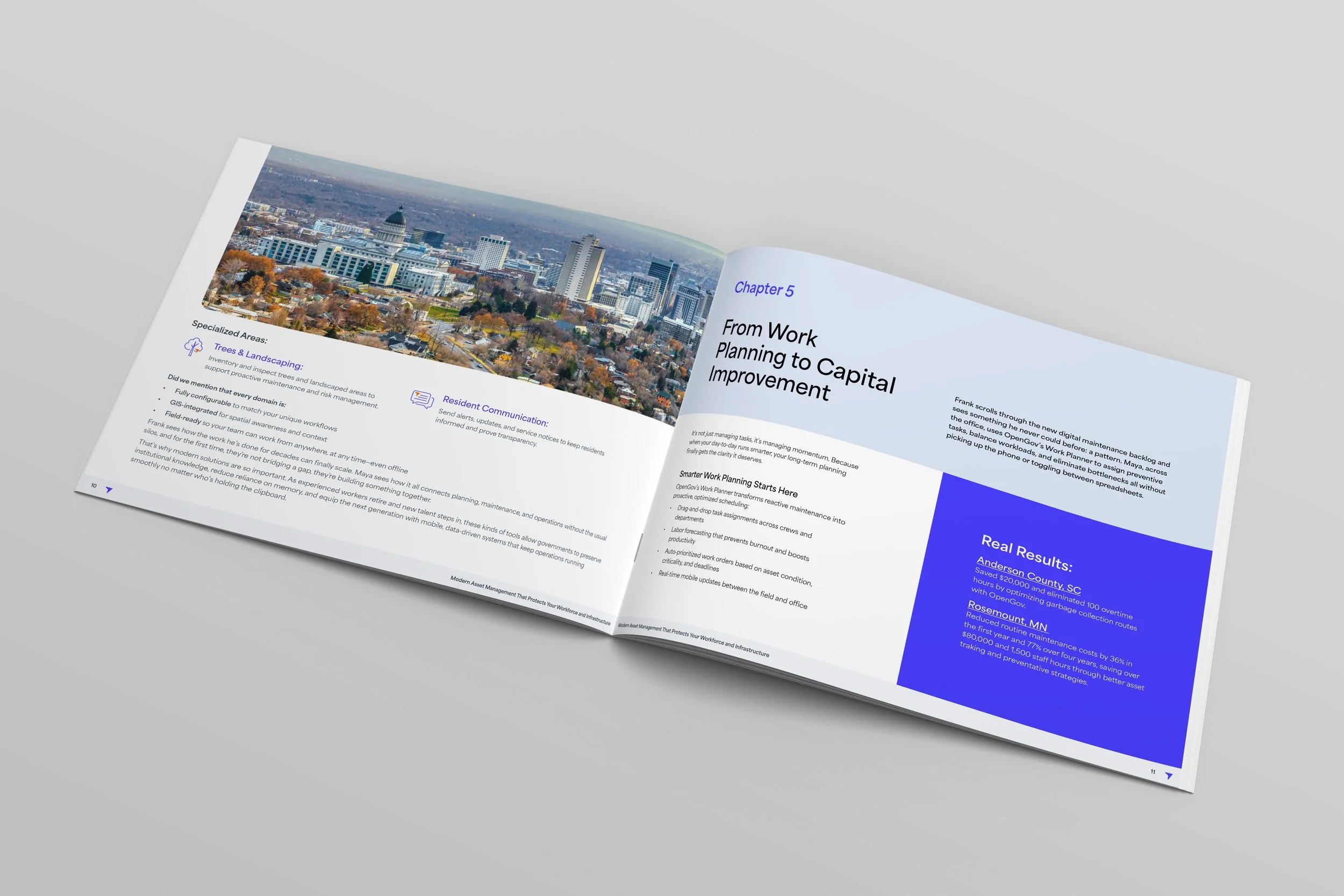 pages 10 - 11.jpg
