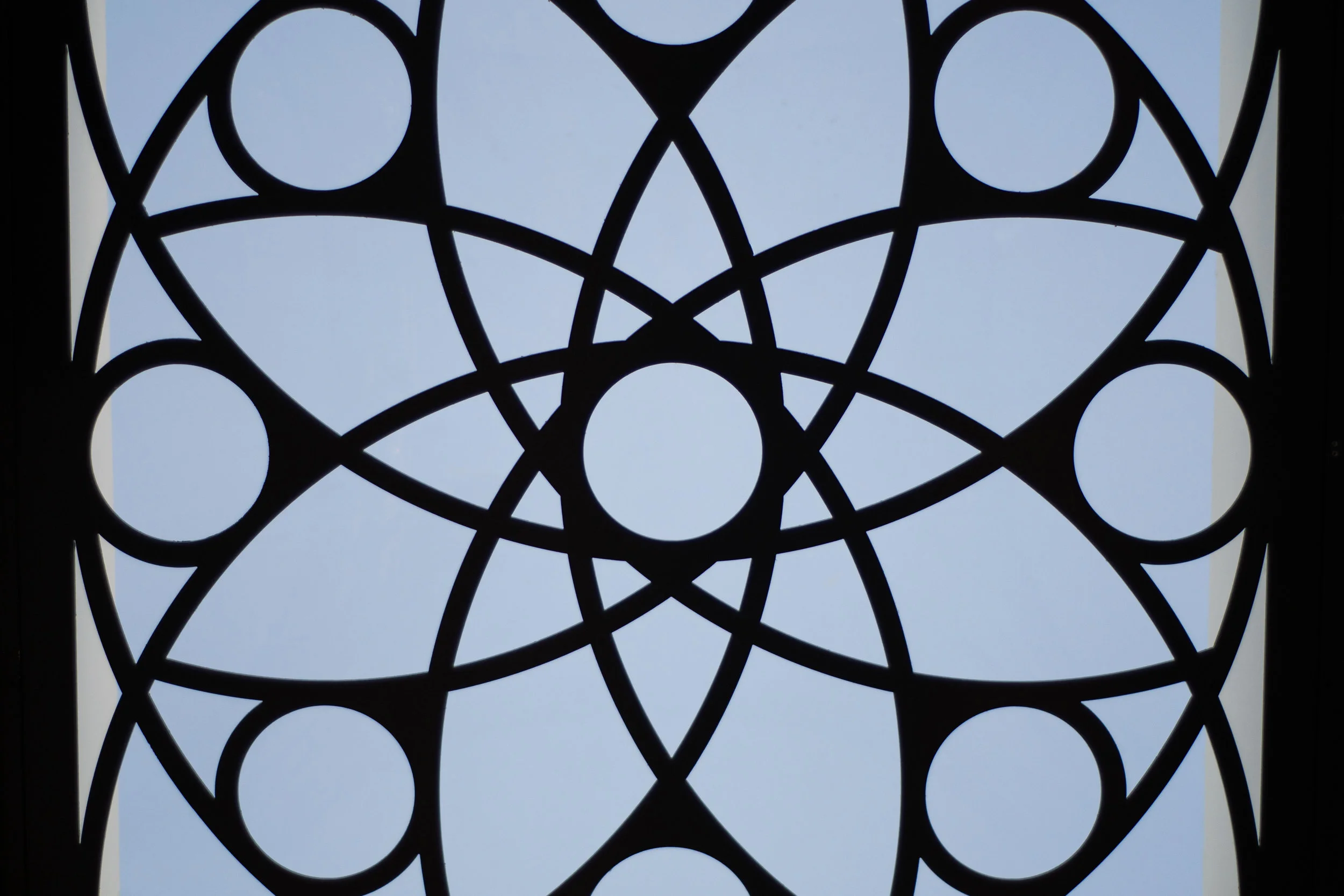 SAV_2018Winter_PHOTO_AndrewDixon-1 2.JPG