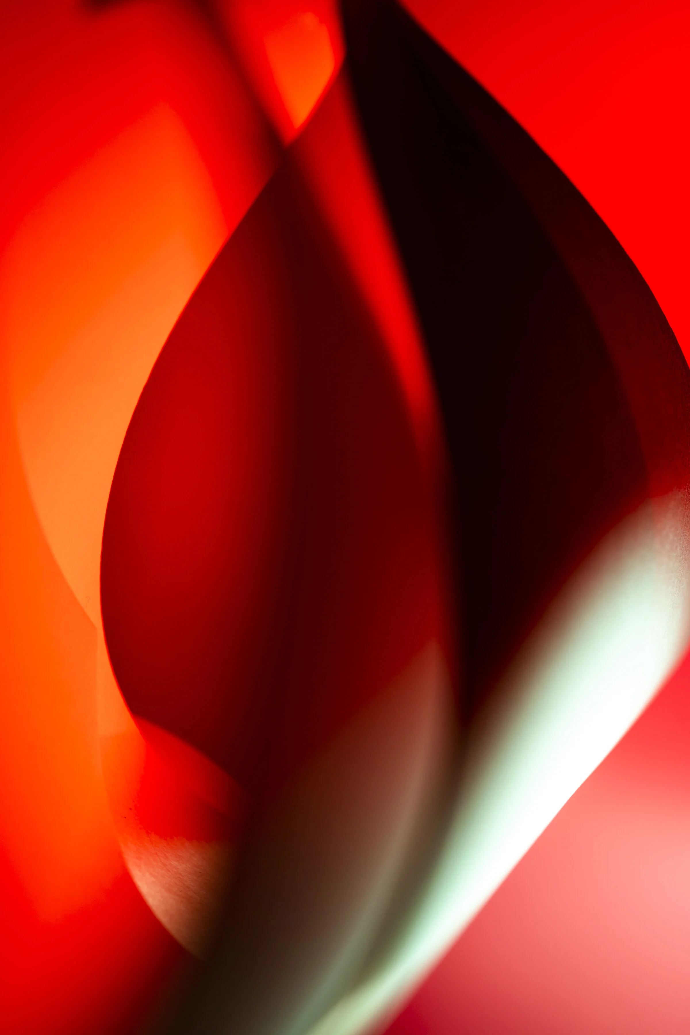 SAV_202120_PHOT_AndrewDixon_SemblanceII-10.jpg