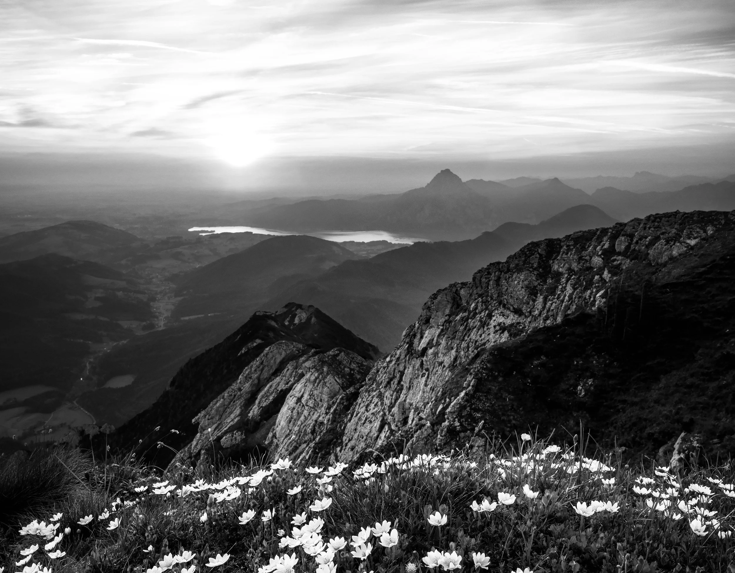 simon-matzinger-345390-unsplash 2.jpg