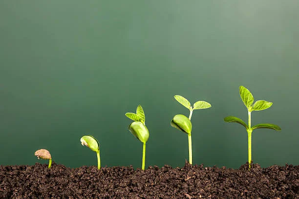 Growing on Purpose