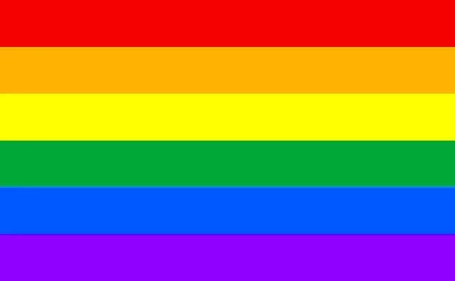 3x5' Rainbow flag.jpg