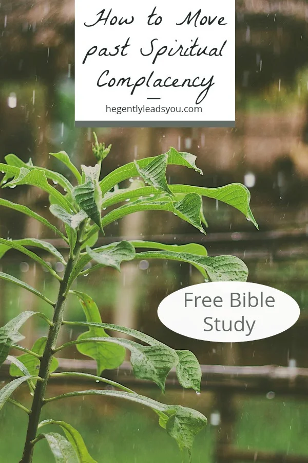hegentlyleadsyou.comspiritualcomp.jpg
